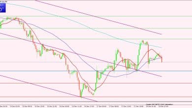 النفط الخام