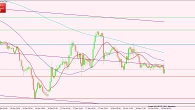 النفط الخام