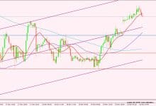 النفط الخام