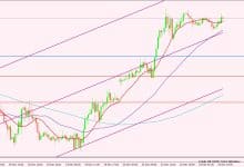 النفط الخام