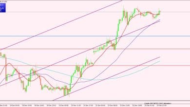 النفط الخام