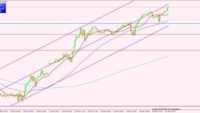 النفط الخام