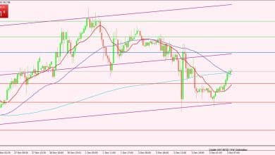 النفط الخام