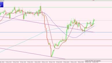 النفط الخام