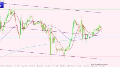 النفط الخام