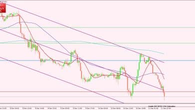 النفط الخام