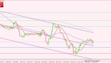 النفط الخام