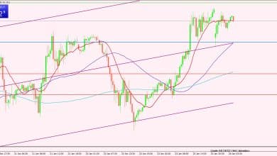 النفط الخام