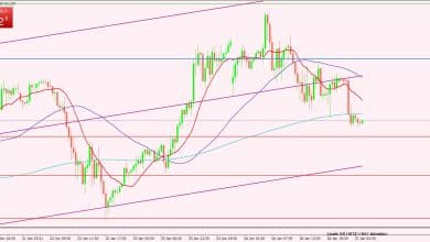 النفط الخام