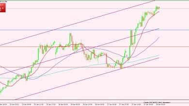 النفط الخام