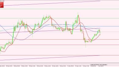 النفط الخام