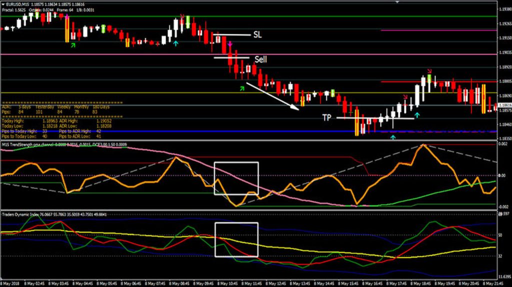 4 – المضارب العربي