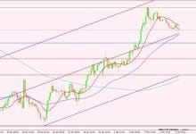 الدولار الأمريكي